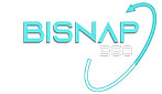 Logo Bisnap